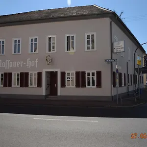 Nassauer Hof Frankfurt am Main
